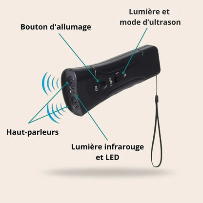 Empêchez Facilement Votre Chien de Tirer Pendant Les Balades