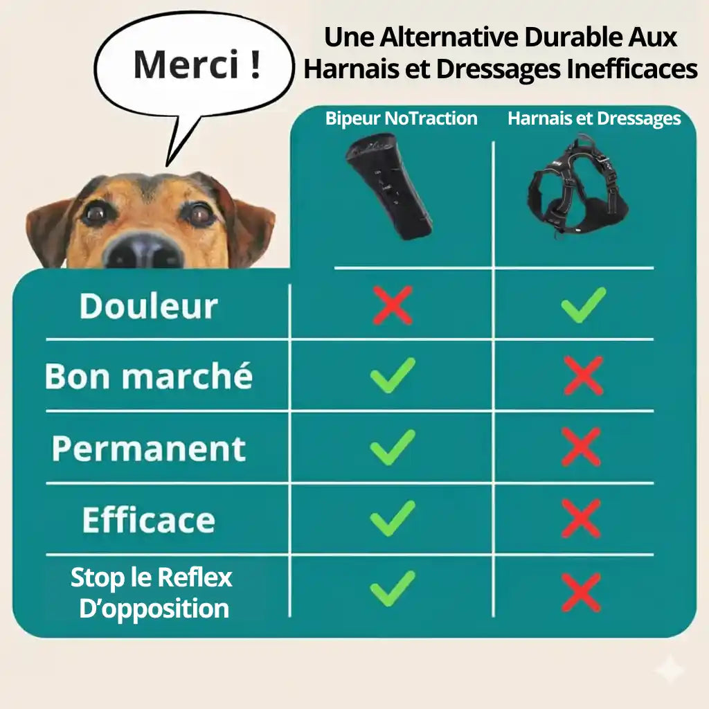 Empêchez Facilement Votre Chien de Tirer Pendant Les Balades