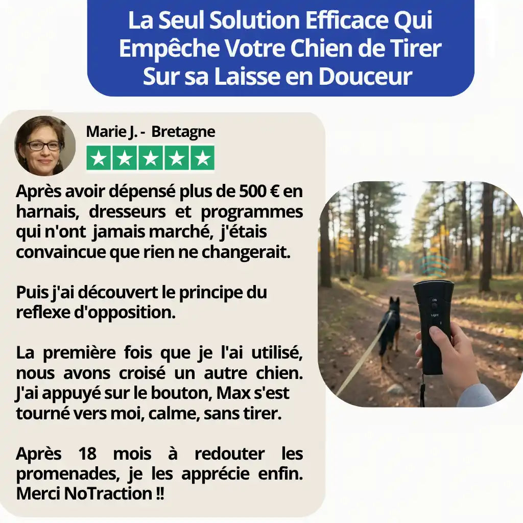 Empêchez Facilement Votre Chien de Tirer Pendant Les Balades