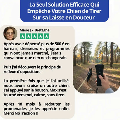 Empêchez Facilement Votre Chien de Tirer Pendant Les Balades